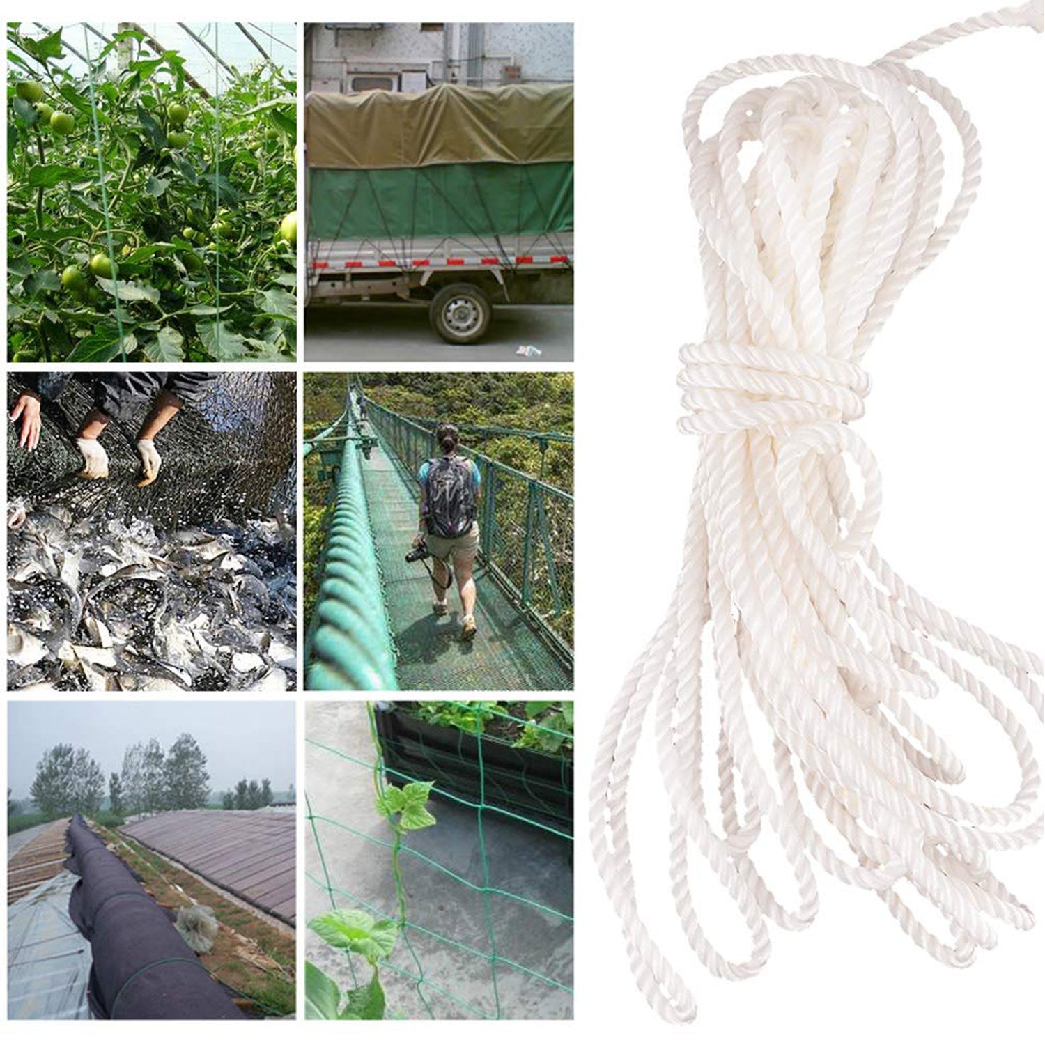 9116 3Meter Heavy Duty Laundry Drying Clothesline Rope Portable Travel Nylon Cord Sturdy Clothes Line for Outdoor, Camping, Indoor, Crafting, Art Projects DeoDap 9116 3Meter Heavy Duty Laundry Drying Clothesline Rope Portable Travel Nylon Cord Sturdy Clothes Line for Outdoor, Camping, Indoor, Crafting, Art Projects DeoDap